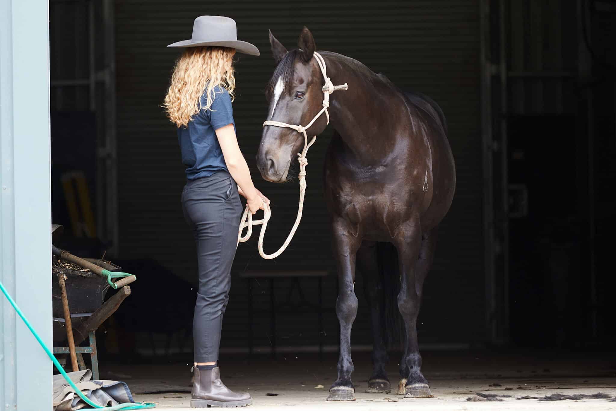Types of exercise that benefit arthritic horses