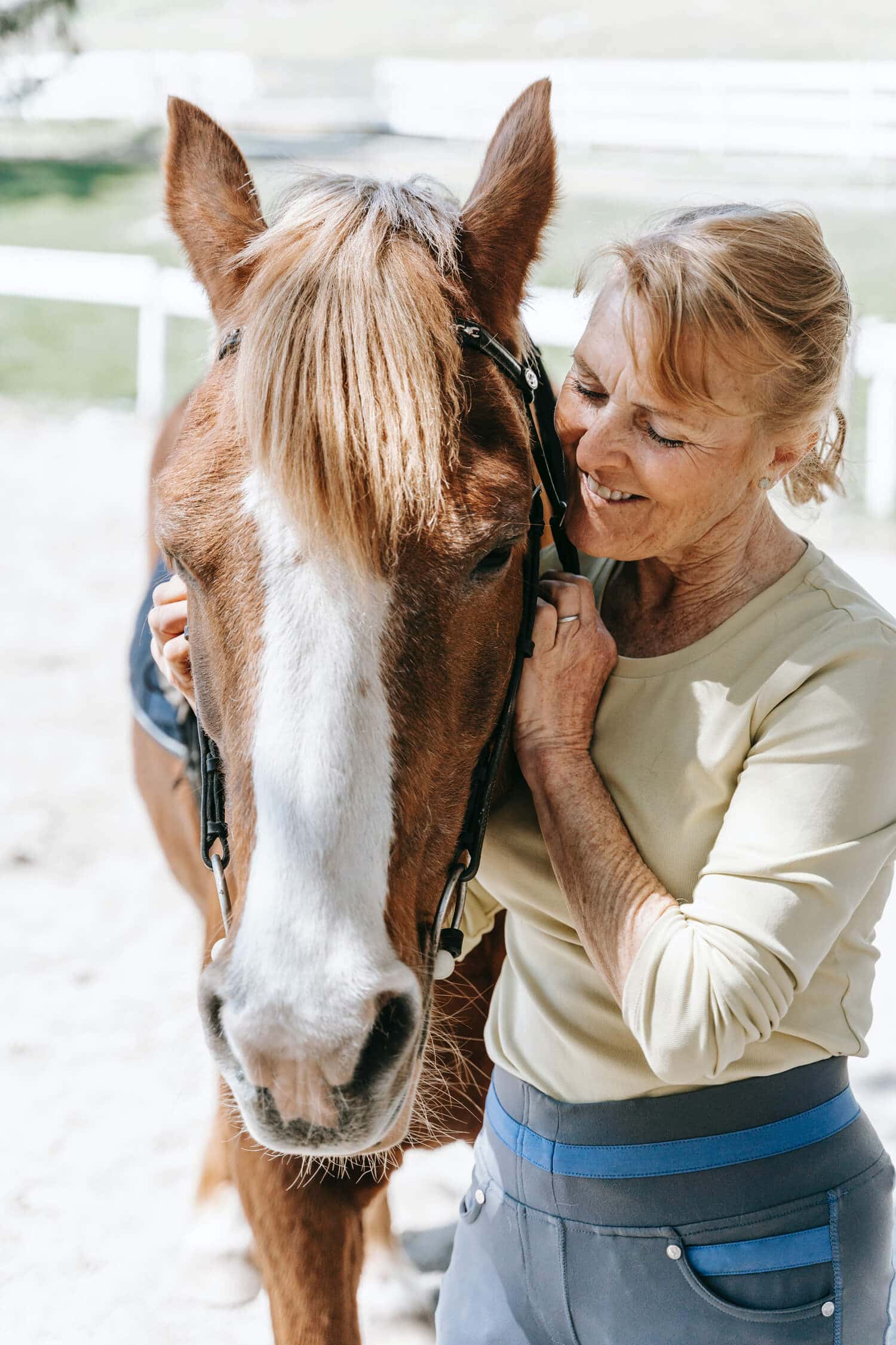 When should I retire my horse?